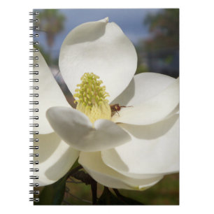 Caderno Espiral Flor branca da magnólia e uma abelha