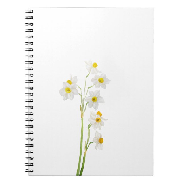 Caderno Espiral flor branca narciso de aquarela (Frente)