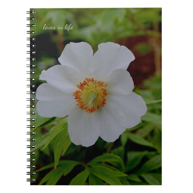Caderno Espiral Flor Branca Simples (Frente)