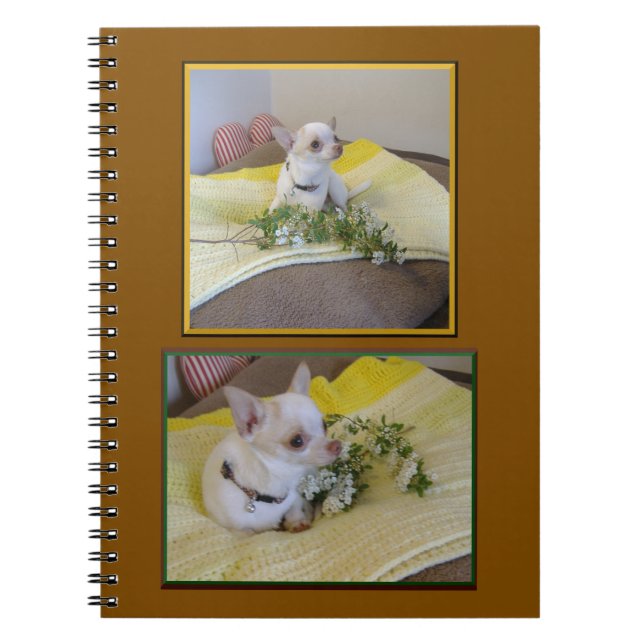 Caderno Espiral Flor Chihuahua (Frente)