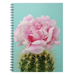 Caderno Espiral Flor cor-de-rosa sobre o cacto Spiky