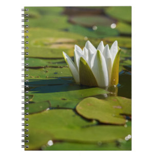 Caderno Espiral Flor de água