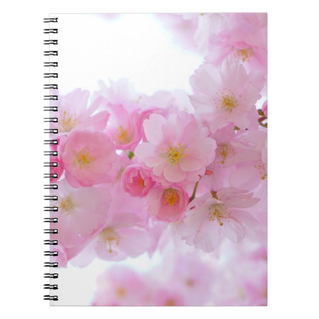Caderno Espiral Flor de árvore de cereja japonesa (Frente)