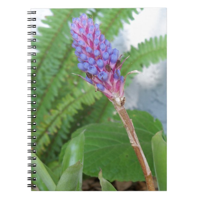 Caderno Espiral Flor de Bromélia de Cone Azul (Frente)