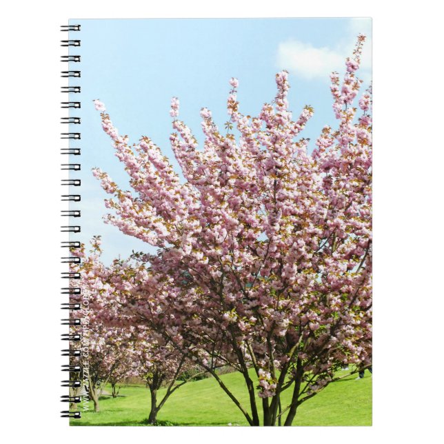 Caderno Espiral Flor de Cerejeira (Frente)
