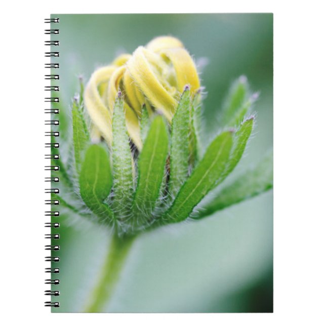 Caderno Espiral Flor de Cone Aberta (Frente)