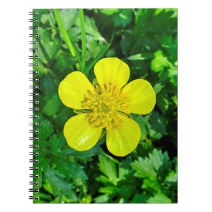 Caderno Espiral Flor De Copo-Botão.