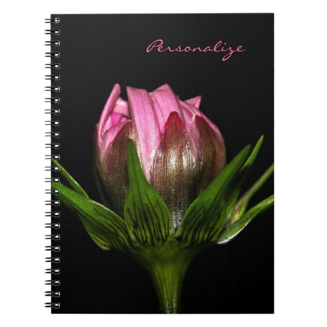 Caderno Espiral Flor de Cosmos Rosa Com Nome (Frente)