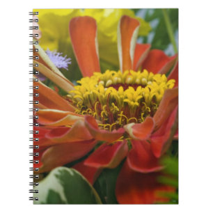 Caderno Espiral flor de crisântemo