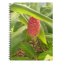 Caderno Espiral Flor de gengibre Shampoo