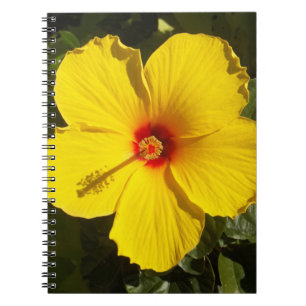 Caderno Espiral Flor de Hibiscus Amarelo