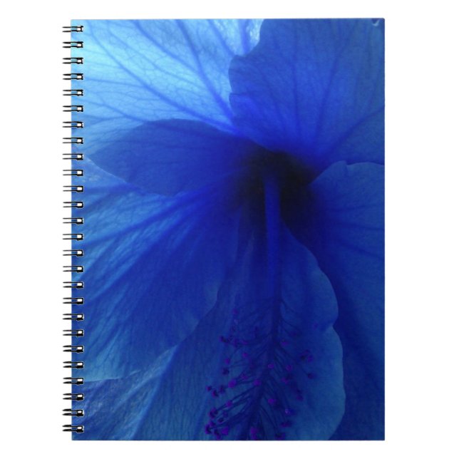 Caderno Espiral Flor de Hibiscus Azul (Frente)