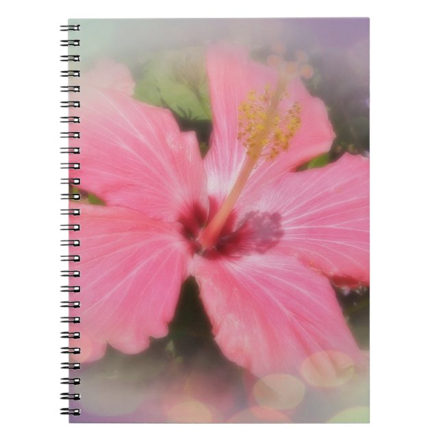 Caderno Espiral Flor de Hibiscus Rosa (Frente)