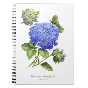 Caderno Espiral Flor de Hydrangea Azul