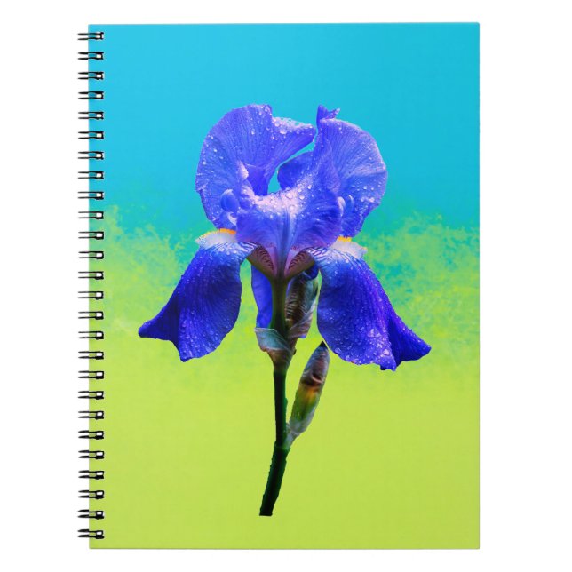Caderno Espiral flor de íris (Frente)