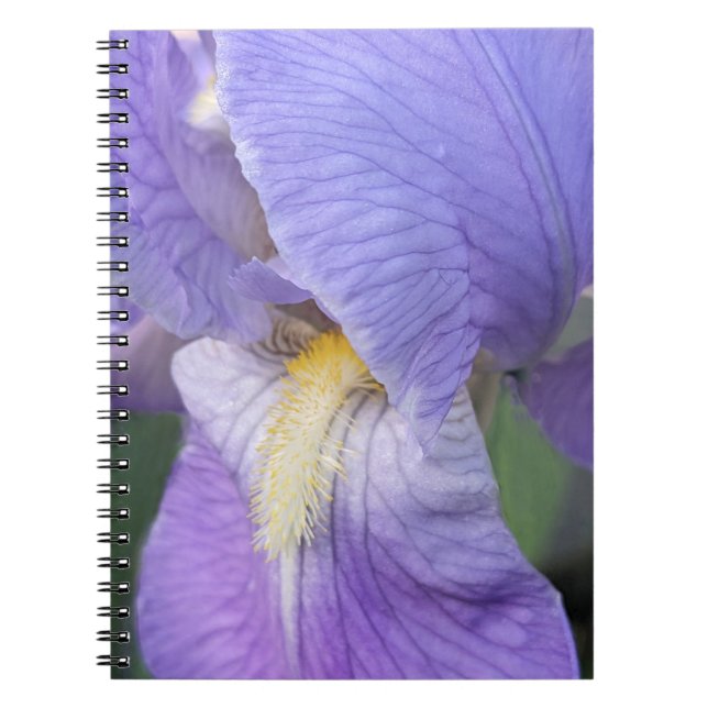 Caderno Espiral Flor de Íris Roxa Floral (Frente)