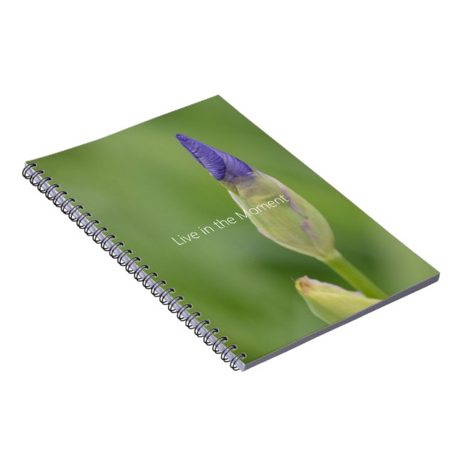 Caderno Espiral Flor de Íris Roxa (minha fotografia) (Lado Direito)