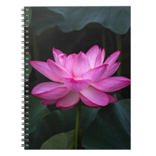 Caderno Espiral Flor de Lotus