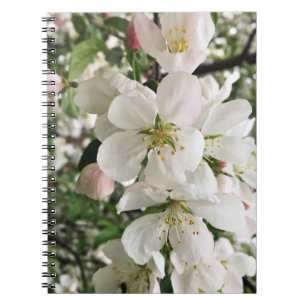 Caderno Espiral Flor de maçã