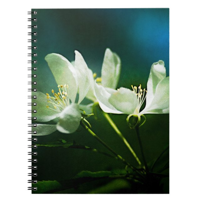 Caderno Espiral Flor de Maçã - Duas Flores (Frente)