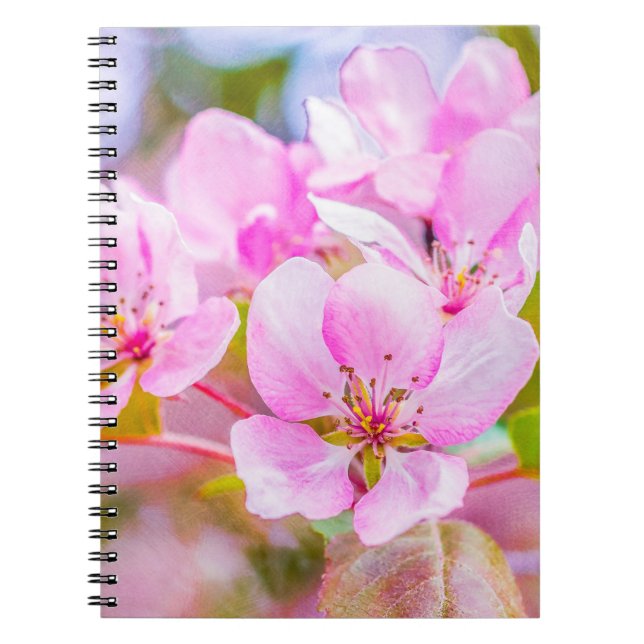 Caderno Espiral Flor de Maçã Rosa (Frente)
