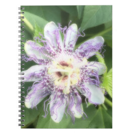 Caderno Espiral Flor de Maracujá