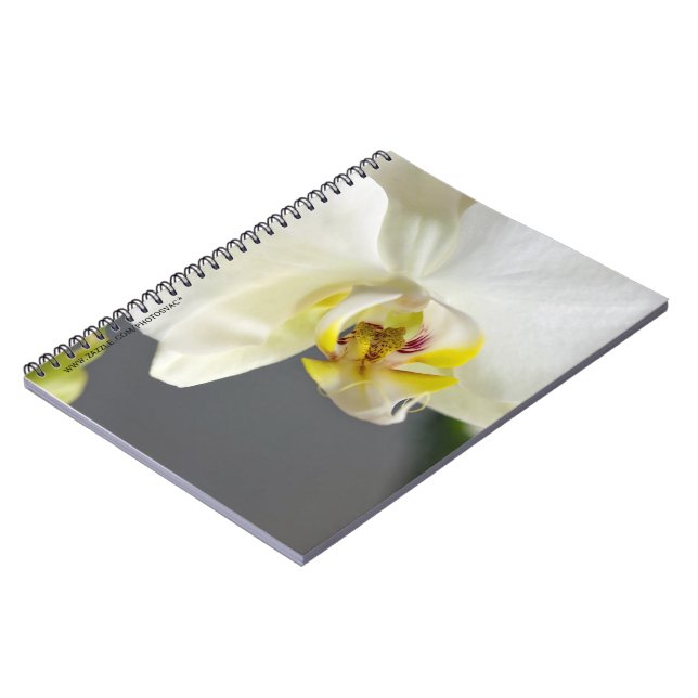 Caderno Espiral Flor de Orquídea Branca (Left Side)