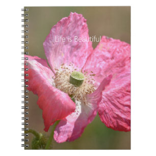 Caderno Espiral Flor de Papoula da Islândia Rosa (minha fotografia