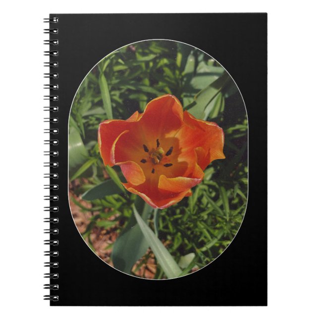 Caderno Espiral flor de primavera vermelha (Frente)