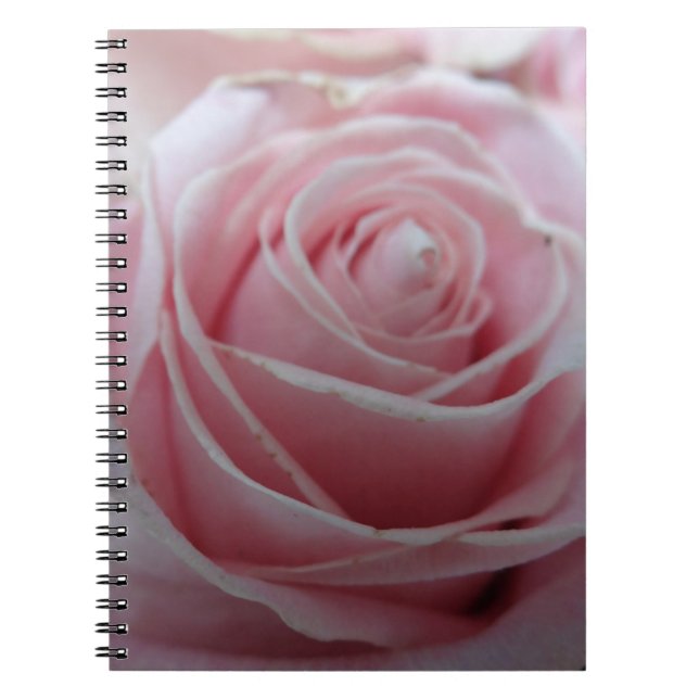 Caderno Espiral Flor de Rosa (Frente)