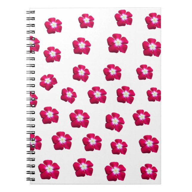 Caderno Espiral Flor de rosa (Frente)