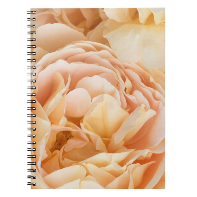 Caderno Espiral Flor de rosa amarela (Frente)