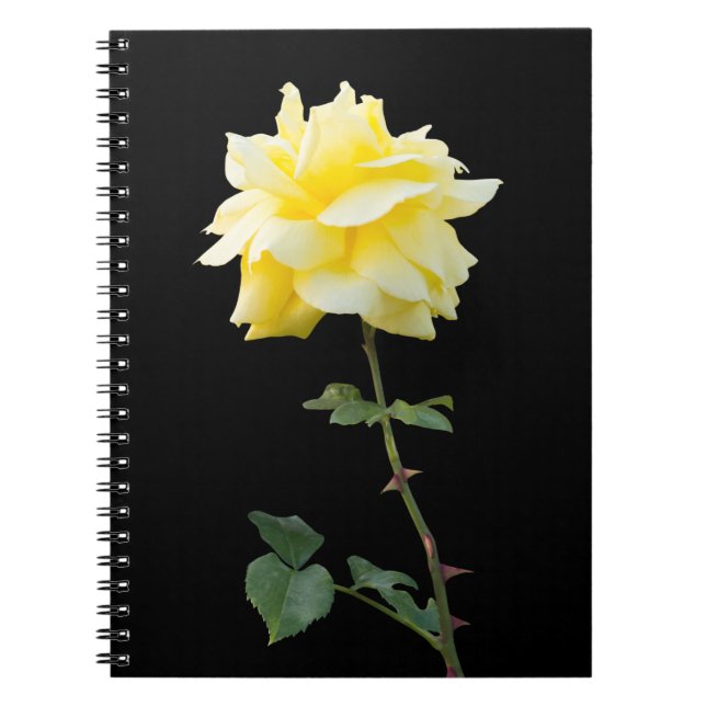 Caderno Espiral Flor de rosa amarela (Frente)