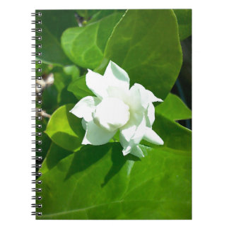 Caderno Espiral Flor do jasmim de Sampaguita