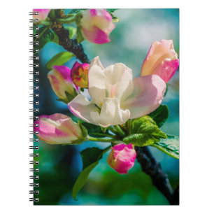 Caderno Espiral Flor e botões de maçarico