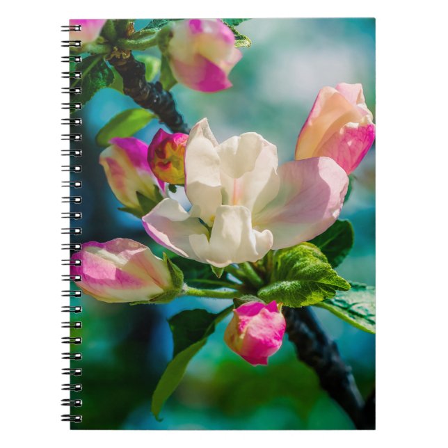 Caderno Espiral Flor e botões de maçarico (Frente)