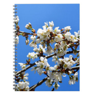 Caderno Espiral Flor floral branco de primavera