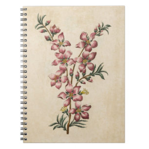 Caderno Espiral Flor Floral de Amêndoa Vintage