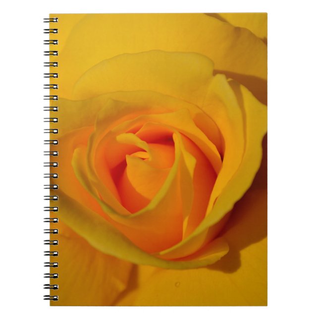 Caderno Espiral Flor floral elegante Rosa amarela (Frente)