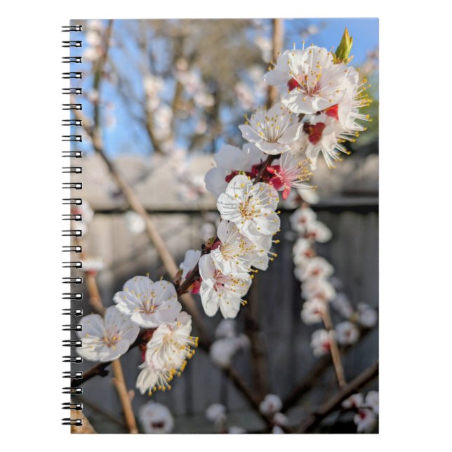 Caderno Espiral Flor floresce (Frente)