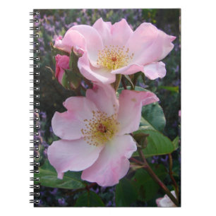 Caderno Espiral Flor Foto de Flor de Rosa Selvagem Rosa no Dia das