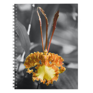 Caderno Espiral Flor Orquídea Amarela