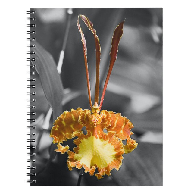 Caderno Espiral Flor Orquídea Amarela (Frente)
