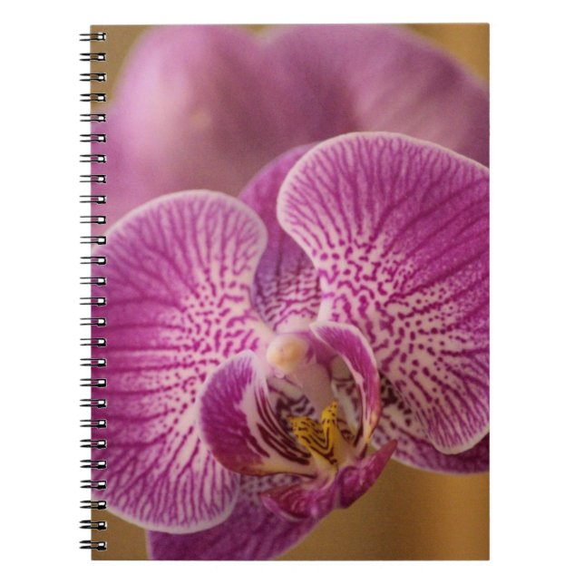 Caderno Espiral Flor Orquídea Rosa (Frente)