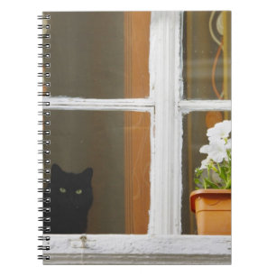 Caderno Espiral Flor pela janela, Sighisoara, Romênia