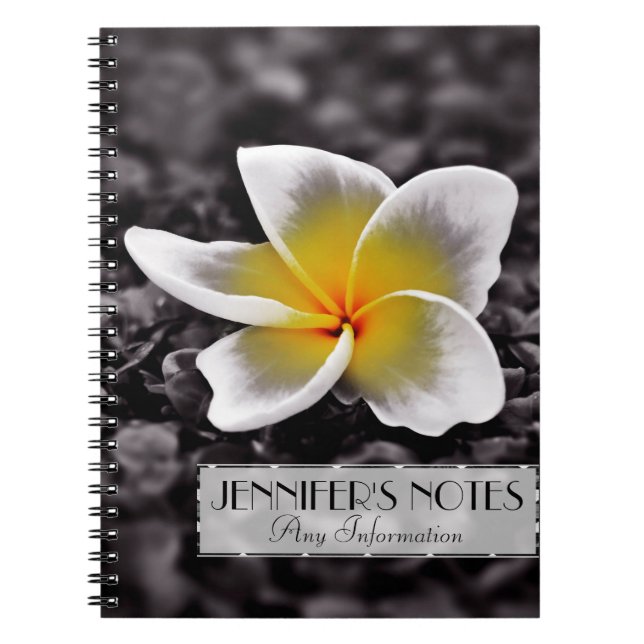 Caderno Espiral Flor Plumeria Frangipani Hawaii (Frente)