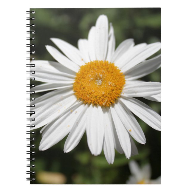 Caderno Espiral flor popular, fotografia bonito de margarida branc (Frente)