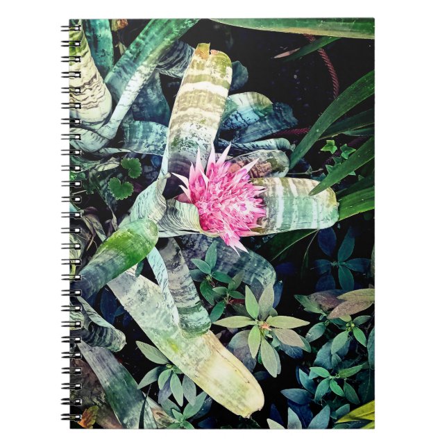 Caderno Espiral Flor rosa (Frente)