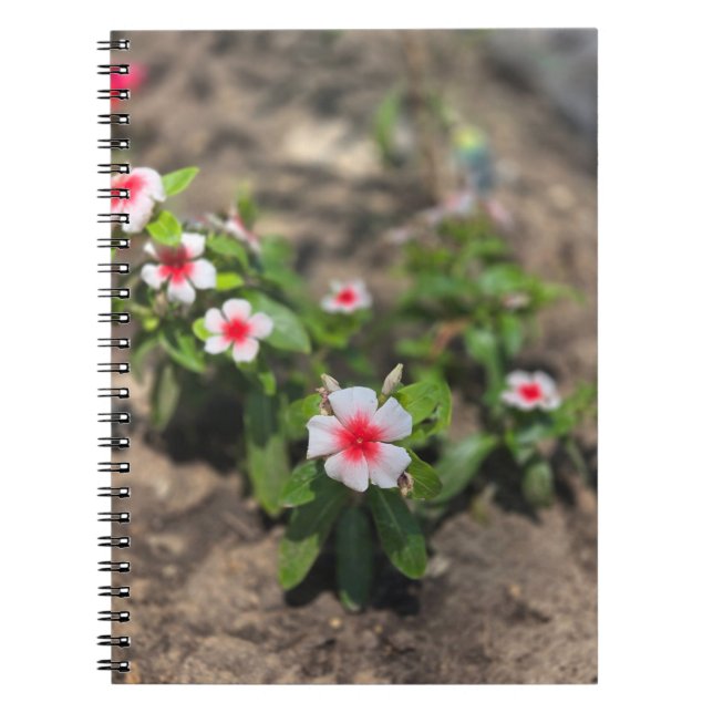 Caderno Espiral flor rosa branca (Frente)