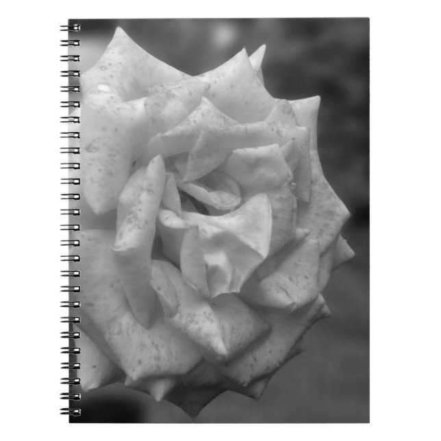 Caderno Espiral Flor Rosa movido em BW (Frente)